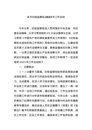 X市纪检监察组2023年工作总结.docx