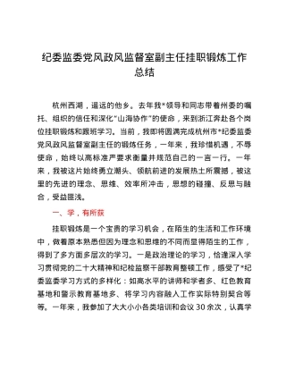 纪委监委党风政风监督室副主任挂职锻炼工作总结.docx