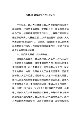 XXX镇2023年人大工作汇报.docx