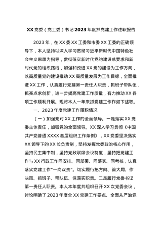 XX党委（党工委）书记2023年度抓党建工作述职报告.docx