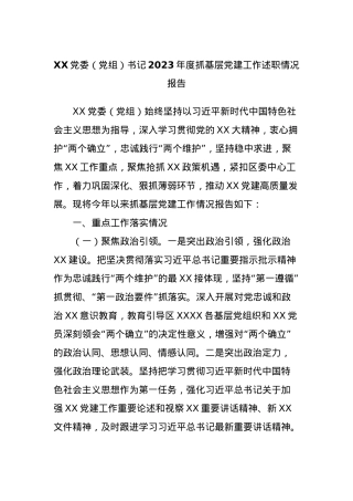 XX党委（党组）书记2023年度抓基层党建工作述职情况报告.docx