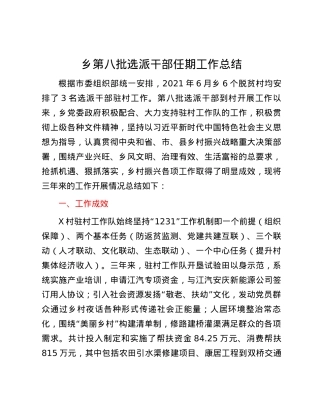 乡第八批选派干部任期工作总结.docx