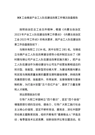 XX工会推进产业工人队伍建设改革工作情况自查报告.docx