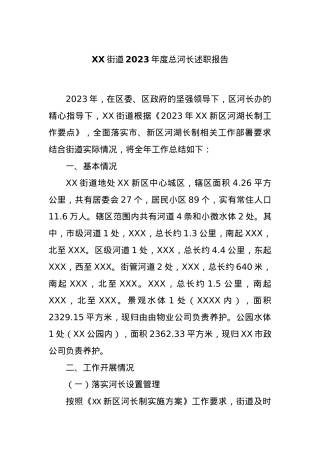 XX街道2023年度总河长述职报告.docx