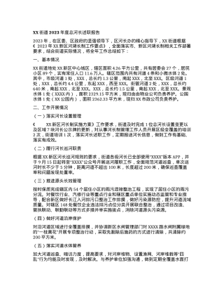 XX街道2023年度总河长述职报告有重名 659920.docx