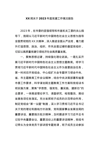 XX局关于2023年度党建工作情况报告.docx