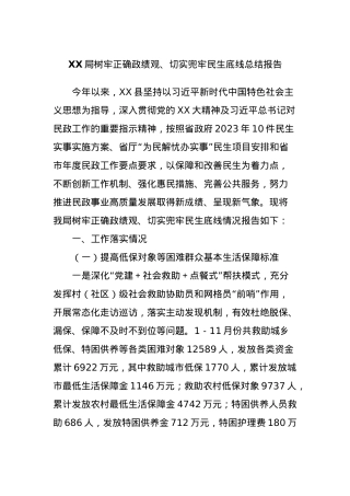 XX局树牢正确政绩观、切实兜牢民生底线总结报告.docx