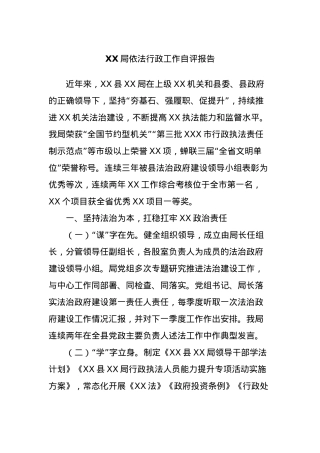 XX局依法行政工作自评报告.docx