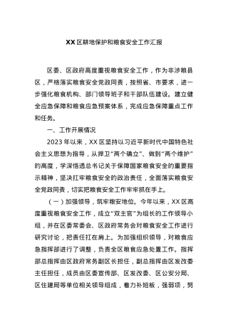 XX区耕地保护和粮食安全工作汇报.docx