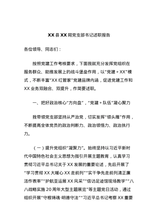 XX县XX局党支部书记述职报告.docx