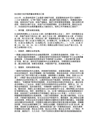 XX县助力经济高质量发展情况汇报.docx