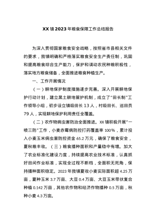 XX镇2023年粮食保障工作总结报告.docx