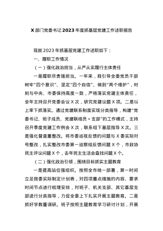 X部门党委书记2023年度抓基层党建工作述职报告.docx