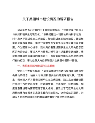 关于美丽城市建设情况的调研报告.docx