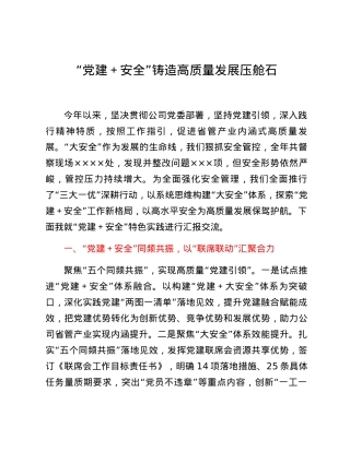 国有企业“党建+安全”工作经验汇报.docx