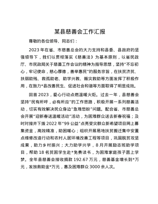 某县慈善会工作汇报.docx