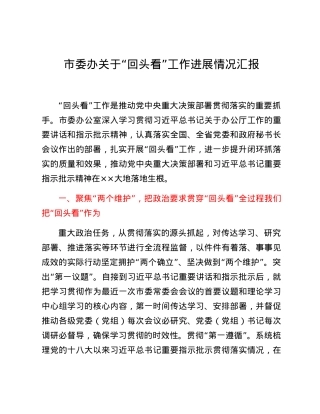 市委办关于“回头看”工作进展情况汇报.docx