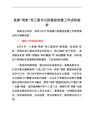 县委两新党工委书记抓基层党建工作述职报告.docx