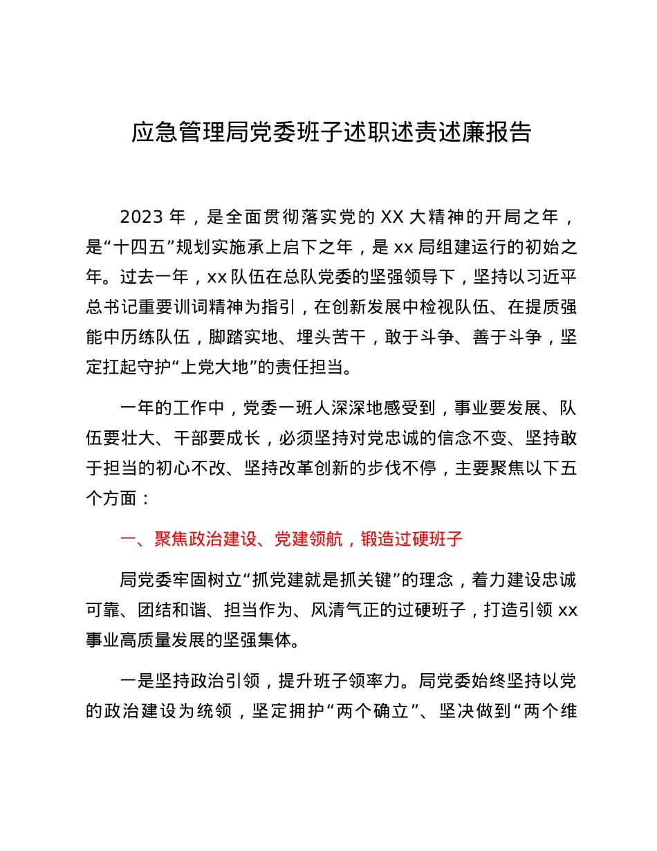 应急管理局党委班子述职述责述廉报告.docx_第1页