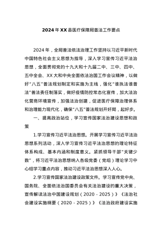 2024年XX县医疗保障局普法工作要点.docx