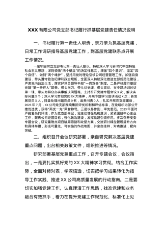 XXX有限公司党支部书记履行抓基层党建责任情况说明.docx