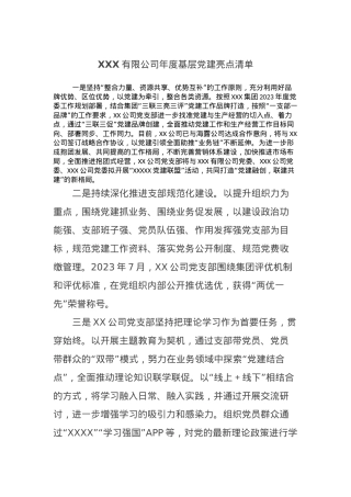 XXX有限公司年度基层党建亮点清单.docx