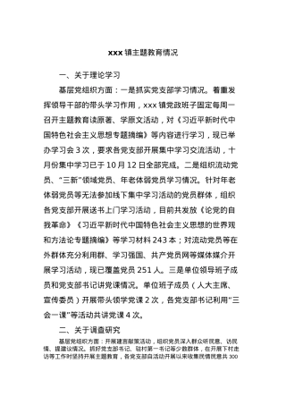 xxx镇主题教育情况.docx