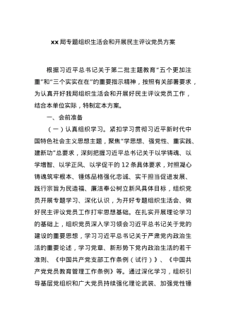 xx局专题组织生活会和开展民主评议党员方案.docx