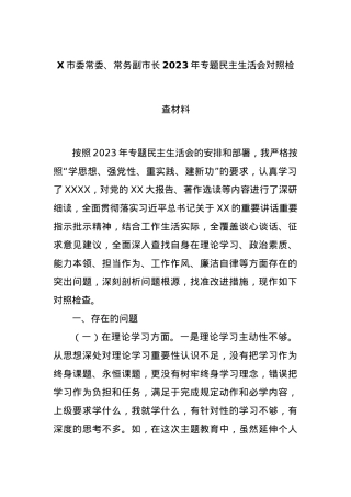 X市委常委、常务副市长2023年专题民主生活会对照检查材料.docx