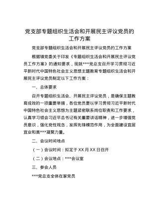 党支部专题组织生活会和开展民主评议党员的工作方案.docx