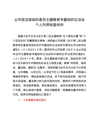 公司党支部组织委员主题教育专题组织生活会个人对照检查材料.docx