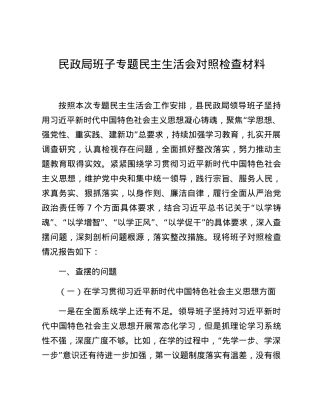 民政局班子专题民主生活会对照检查材料.docx