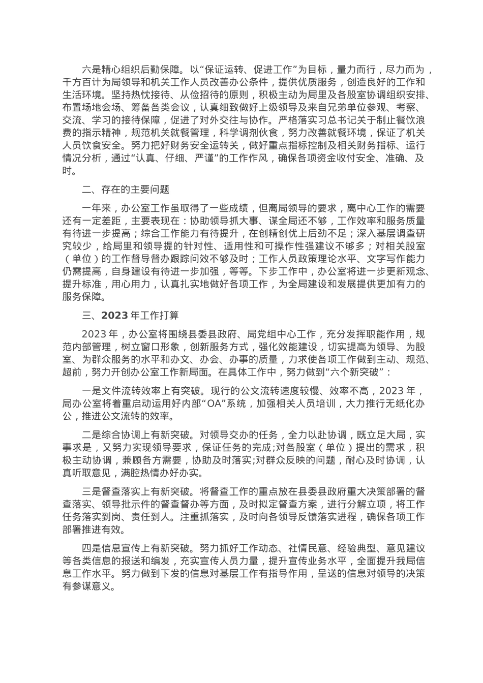 2022年度县局办公室工作总结及2023年工作打算.doc_第2页