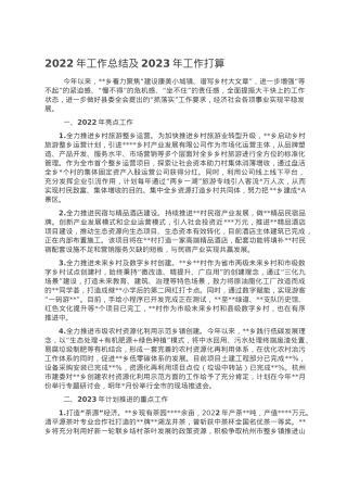 2022年工作总结及2023年工作打算.doc