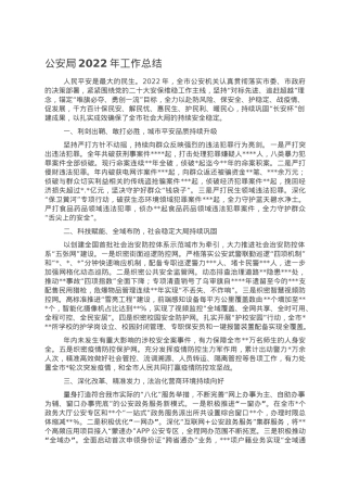 公安局2022年工作总结.doc