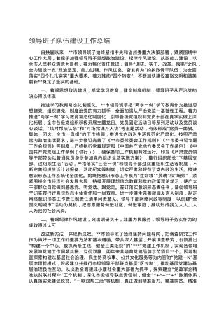 领导班子队伍建设工作总结.doc