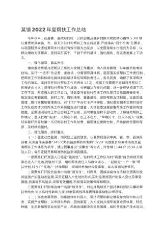 某镇2022年度帮扶工作总结.docx