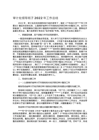 审计处领导班子2022年工作总结.doc