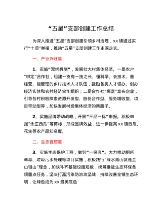 五星支部创建工作总结.docx