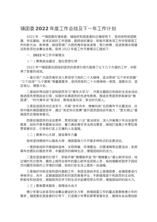 镇团委2022年度工作总结及下一年工作计划.doc
