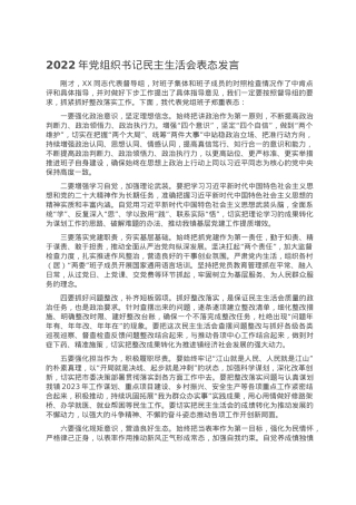 2022年党组织书记民主生活会表态发言.doc