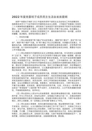 2022年度党委班子成员民主生活会发言提纲.doc