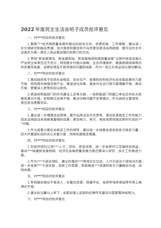 2022年度民主生活会班子成员批评意见.doc