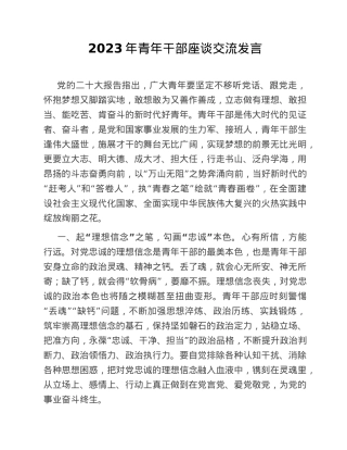 2023年青年干部座谈交流发言.doc