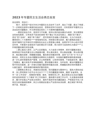 2023年专题民主生活会表态发言.doc