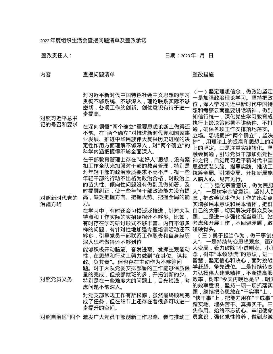 2022年度组织生活会查摆问题清单及整改承诺.docx_第1页