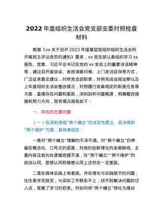 2022年度组织生活会党支部支委对照检查材料.docx