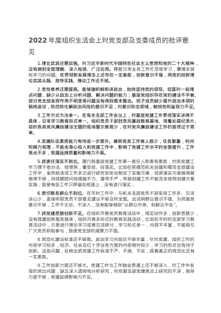 2022年度组织生活会上对党支部及支委成员的批评意见.doc