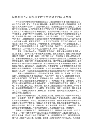 督导组组长在参加机关民主生活会上的点评发言.doc
