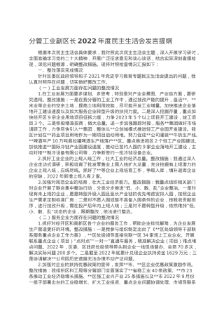 分管工业副区长2022年度民主生活会发言提纲.doc